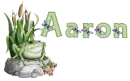 Aaron