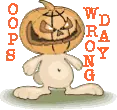 BUNNY IN PUMPKIN