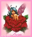Kim-fairy in rose