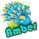 Peacock: Amber