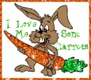 rabbit with a carrot