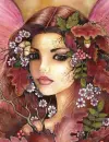 Fairy