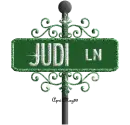 street sign green judi ln
