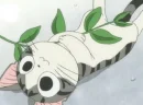 chi