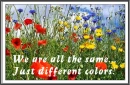 Different Colors