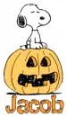 Jacob-Snoopy,Halloween