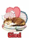 Gied cat