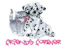 Friends Forever