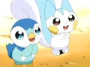 Piplup and Pachirisu