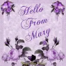 Hello From Mary