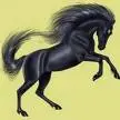 girl on a horse