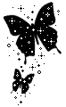 black butterfly