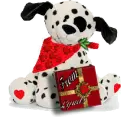 Lynds Dalmation