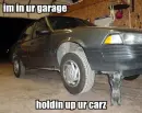 lol cat