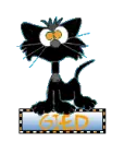 CAT BLINKIE