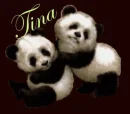 TINA