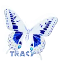 tracy's blue & white butterfly