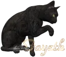 Fayeth