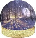 Wonderful Snow Globe