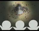 yamato nadeshiko