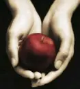 Twilight