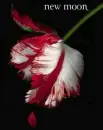 New Moon