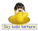 ternura