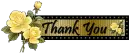 Thank you flowers