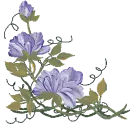 Purple Beauty