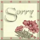 sorry