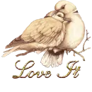 Love Birds