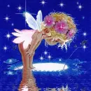 Little Baby Fairy