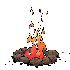 Camp fire