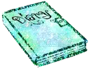 diary