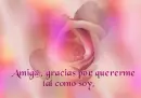 amistad