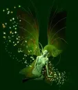 fairy