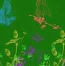 Green abstract