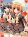 Shuffle friends