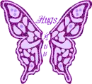 wings ann