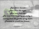 Rose Poem