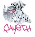 Fayeth