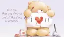 Cute Bears