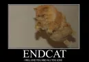 End cat