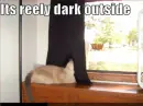 it's really dark