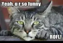 yeah u are so funny