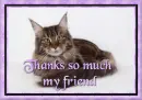 Thanks my friend