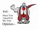 opinion