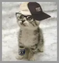 what up?