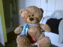 bear