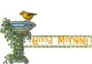 Good Morning Bird on Birdbath
